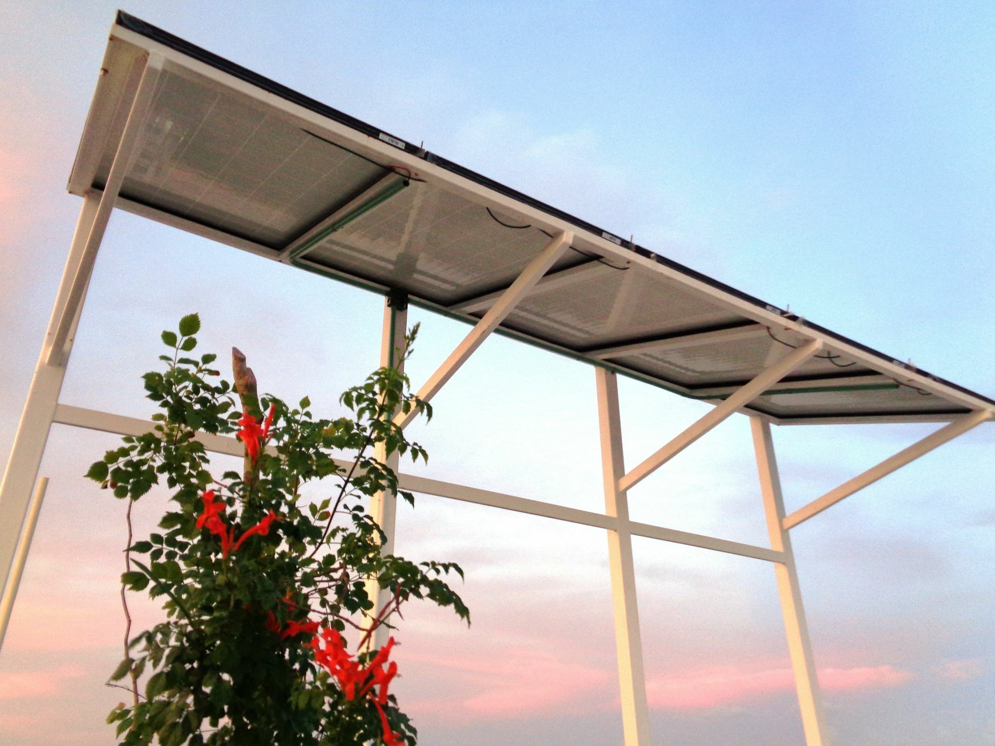 Ocean Zen Suites On 5Th Avenue - Adults Only Playa del Carmen Exterior foto